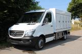 Mercedes-Benz Sprinter 516 CDI 310 Cold Car 5+5 Türen -33°C - Offers