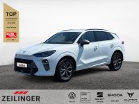 Cupra Terramar - Vorschau Bild 1