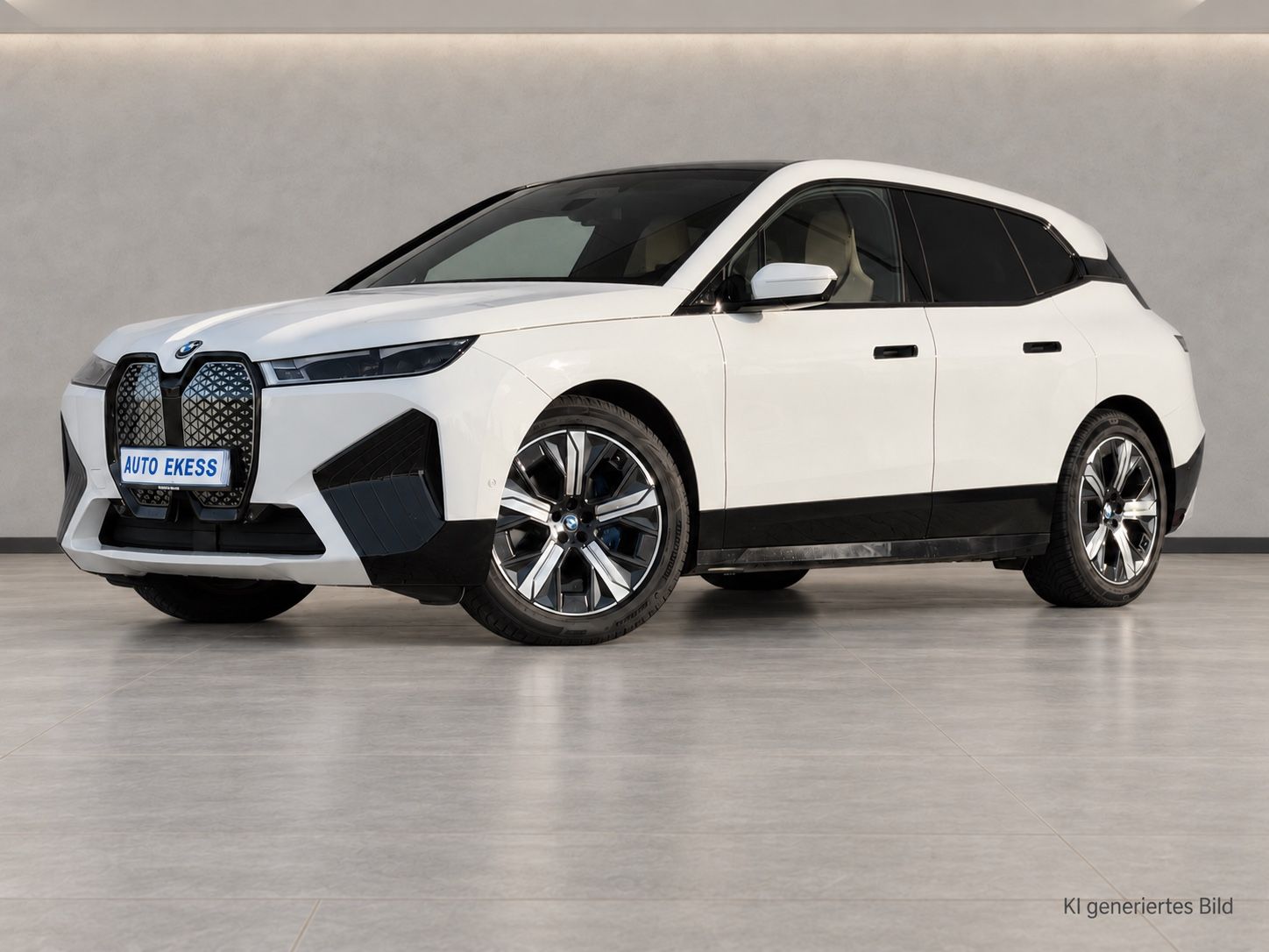 BMW iX 40 Sport ACC LASER 360 HiFi foto 3