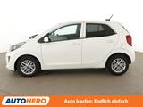 Kia Picanto 1.0 Vision*SHZ*KLIMA*GARANTIE* - gebrauchte Kia Picanto aus dem Jahr 2023