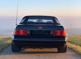 Mercedes-Benz 320 SL Cabrio /Roaster - Mercedes-Benz 320 Gebrauchtwagen