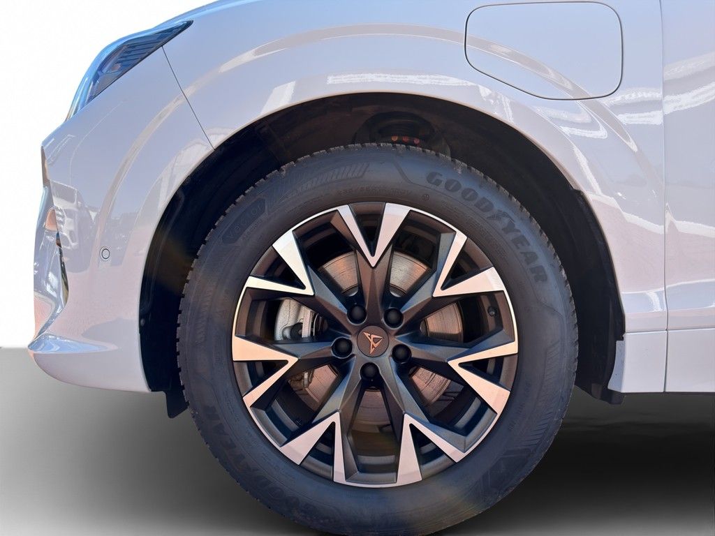 Cupra Terramar - Bild 9