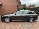 Audi A4 35 TDI S tronic design Avant design - Audi A4: Braun
