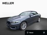 BMW 218i cabrio Sport Line Navi,HiFi,e-Sitze,PDC,DAB