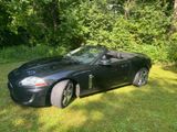 Jaguar XK 5.0 V8 Cabriolet - - Jaguar XK von privat
