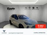 Cupra Terramar VZ ABT 2.0 TSI HUD AHK-el. klappb. El.  - Cupra Terramar mit Panoramadach