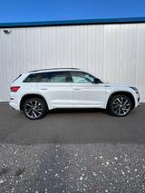 Skoda Kodiaq 2.0 TSI DSG 4x4 SPORTLINE PANO, AHK etc. - Skoda Kodiaq: Sportline
