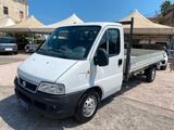 Fiat Ducato 2.8 JTD Cassonato - gebrauchte Fiat Ducato aus dem Jahr 2005
