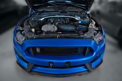 FORD Mustang SHELBY GT350 Track Package - EINZELSTÜCK