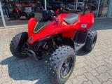 CFMOTO CFORCE 110 - Kinder / Junior Quad - CFMOTO CFORCE 110