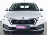 Skoda Octavia First Edition Navi|CarPlay|PDC|SHZ|LED - Skoda Octavia: First Edition