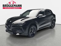 Alfa Romeo Junior - Vorschau Bild 1
