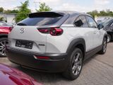 Mazda MX-30 Basis e-SKYACTIV NAVI PDC RfK - Mazda MX-30 aus 2021