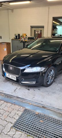 Jaguar XF 25d 240PS Portfolio Automatik Portfolio