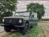 Mercedes-Benz G 250 Wolf GD250 Bundeswehr  - Mercedes-Benz G 250: Gd