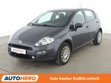 Fiat Punto 1.2 Basis*KLIMA*GARANTIE* - Fiat Punto: Kleinwagen