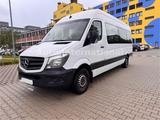 Mercedes-Benz Sprinter 313 BlueTec Maxi *Behindertengerecht* - Mercedes-Benz Sprinter: 313 Maxi