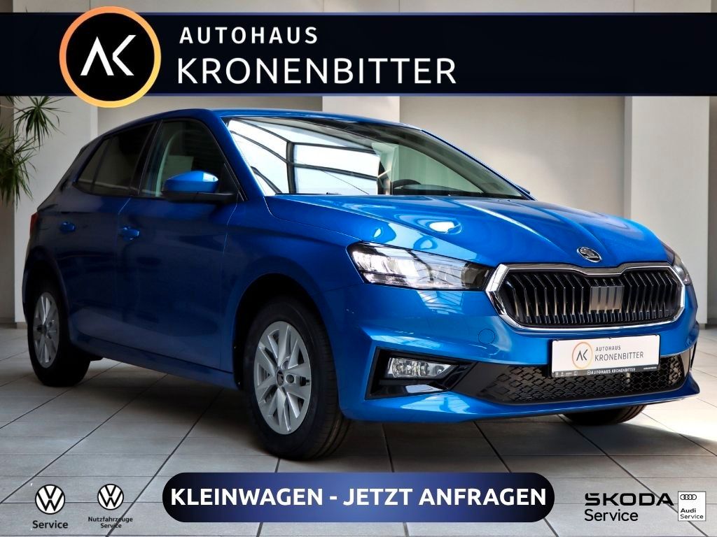 Skoda Fabia 1.0 TSI Selection 116PS-LED LM Klima Sitzh