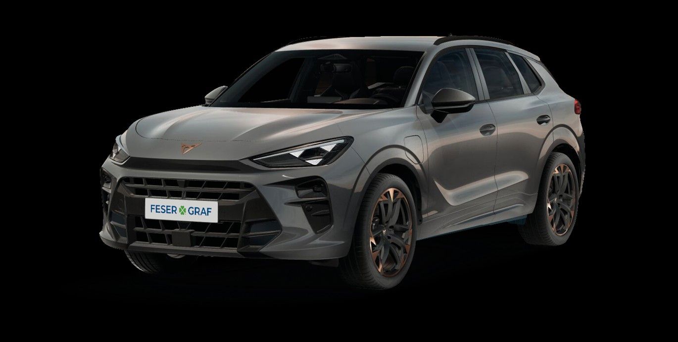 Cupra Terramar - Bild 1