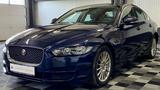 Jaguar XE Prestige, Xenon, Vollleder,Automatik - Jaguar XE: Prestige