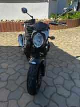 Suzuki Gladius mit neuem TÜV in Neuzustand - Angebote
