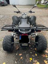 Triton Access Motor SP300-SM - QUAD MOTOR