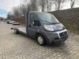 Fiat Ducato - Fiat Ducato aus 2010: Van