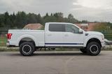 Ford F 150 Shelby - Ford F 150 mit Benzin-Antrieb: Geländewagen