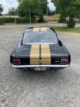 Ford Mustang Fastback GT350H Tribute Schalter - Ford Mustang: Gt350 Fastback