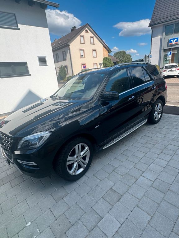 Image of Mercedes-Benz ML 250