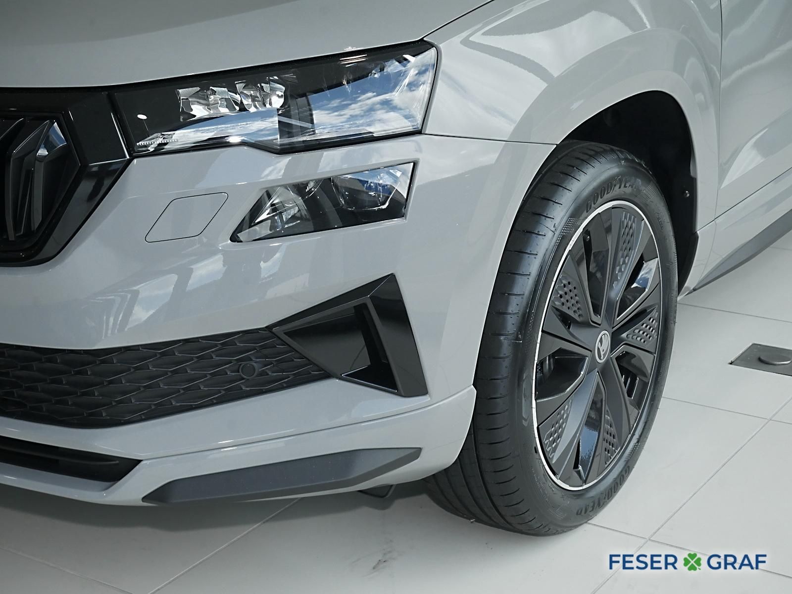 Skoda Karoq - Bild 10