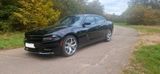 Dodge Charger - Dodge Charger: Schwarz