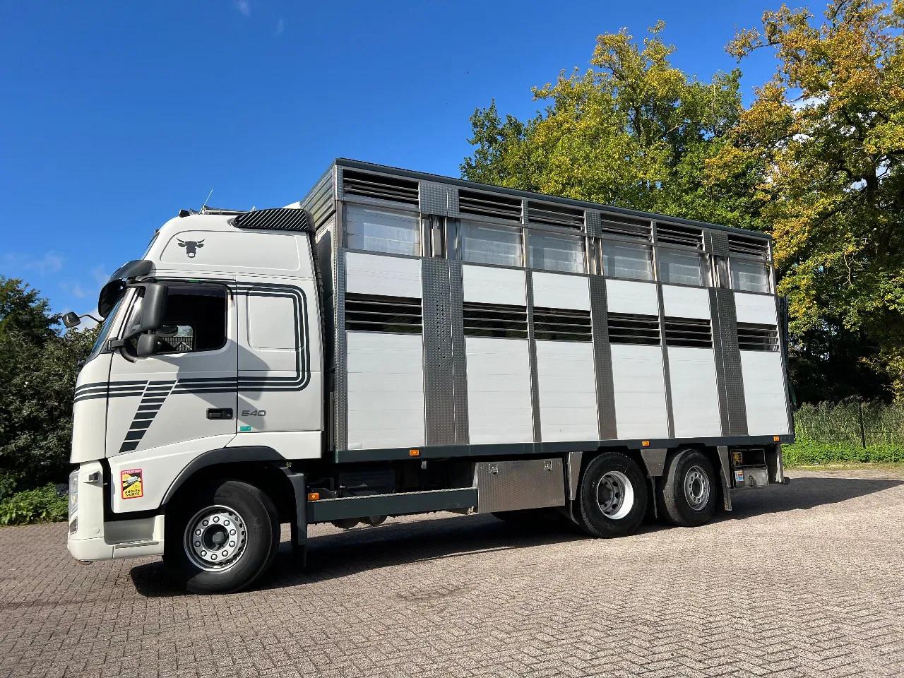 Volvo FH 13.540 Globe XL 6x2/4 IRMA Livestock