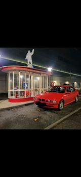 BMW Bmw e39 523i Erste Hand Checkheft gepflegt... - BMW 523 in Mainz