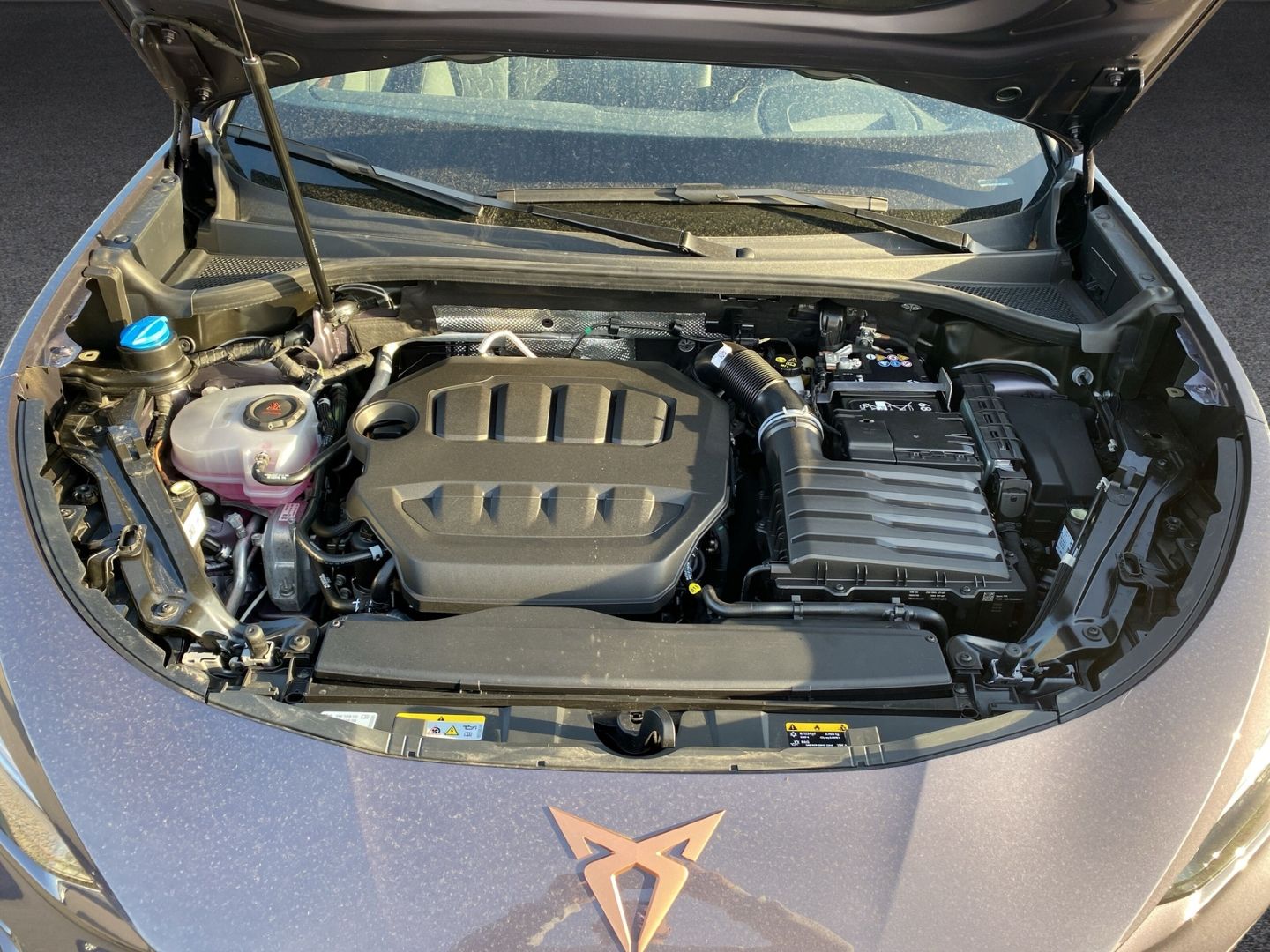 Fahrzeugabbildung CUPRA Terramar 195 kW 4Drive VZ*HUD*AHK*PANNO*Standhz*