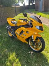Triumph Daytona 955i - TRIUMPH 955 DAYTONA
