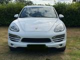 Porsche Cayenne Diesel - - Porsche Cayenne: Weiß