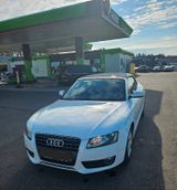 Audi A5 1.8 TFSI Cabriolet -1.Hand Tüv Neu  - Audi A5 aus 2009: Cabrio