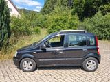 Fiat Panda - Fiat Panda aus 2010