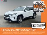 Toyota RAV4 2.5 D Team Deutschland ACC FLA SpurH KAM - Toyota RAV 4: De