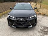 Lexus UX 250h Style Edition Style Edition - Lexus UX aus 2022