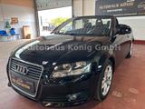 Audi A3 Cabriolet Ambition*TUV NEU* - Audi A3 aus 2010: Cabrio