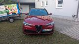Alfa Romeo Stelvio 2.0 Turbo 16V 206kW B-Tech AT8-Q4 B-Tech - Alfa Romeo Stelvio aus 2018