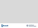 Volkswagen Golf VIII 1.5 eTSI Edition 50 DSG+ HUD+AHK+DCC+P