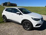Opel Grandland (X) 1.5 Diesel 96kW Business Innov... - Opel Grandland (X) von privat