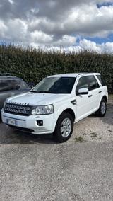 Land Rover Freelander 2.2 SD4 S.W. HSE - weiße Land Rover Freelander