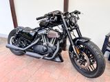 Harley-Davidson Sportster Roadster XL1200 - Offers matching your search criteria