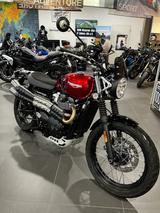 Triumph Scrambler 900  - Offers