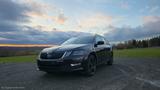 Skoda Octavia 1.6 TDI CLEVER Combi Sondermodell Clever - Skoda Octavia: Sondermodell