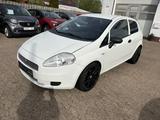 Fiat Punto 1.2 8V LOUNGE - Fiat Punto: 1.2